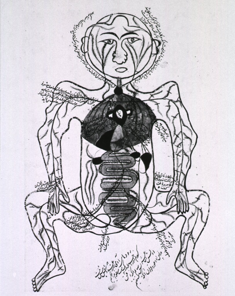 intestines B12