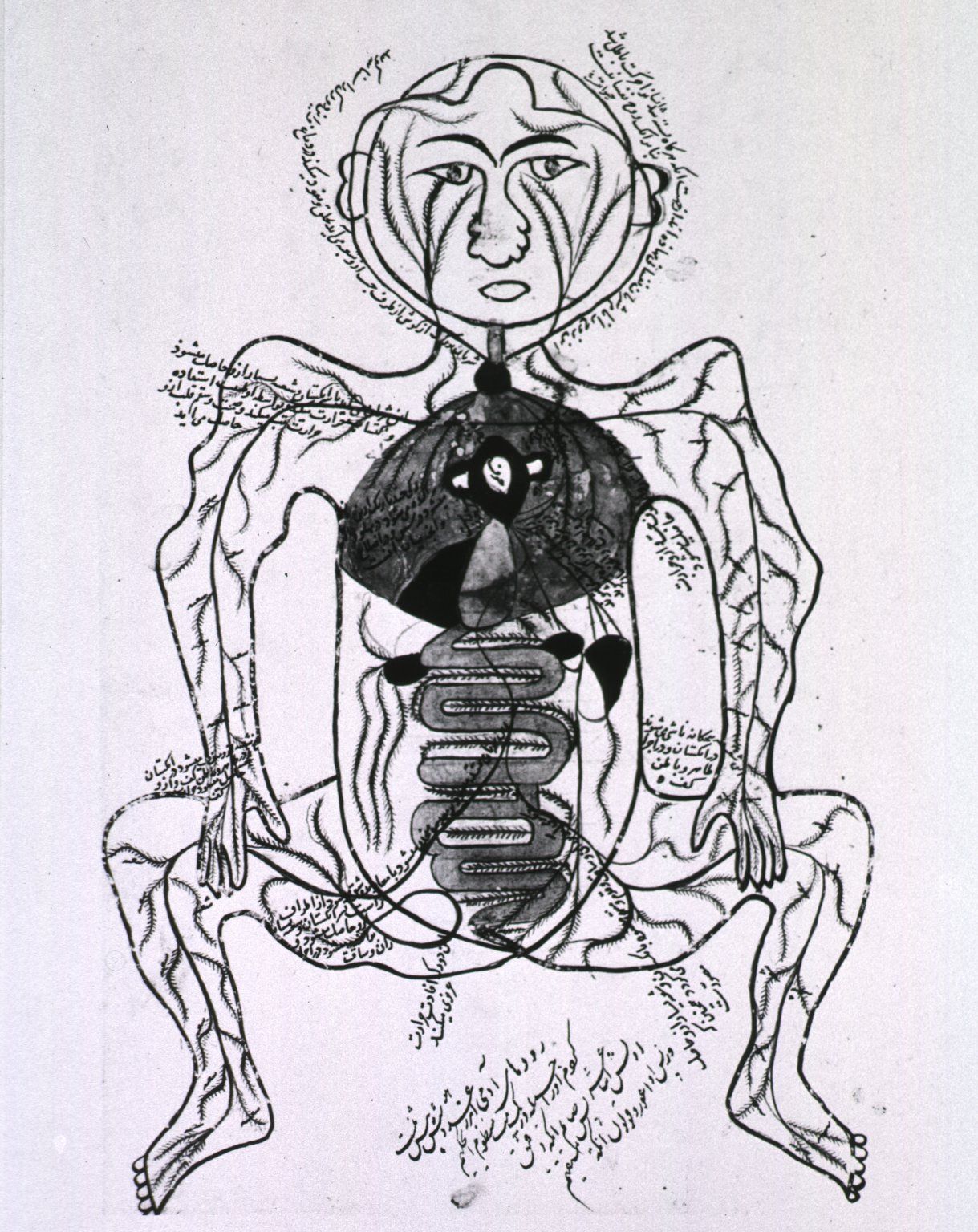 intestines B12