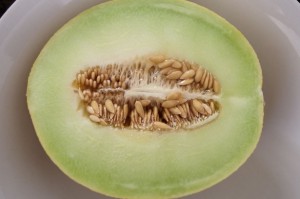 honeydew omega 3