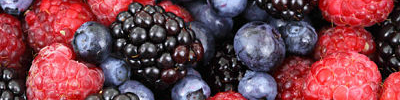 omega 3 berries