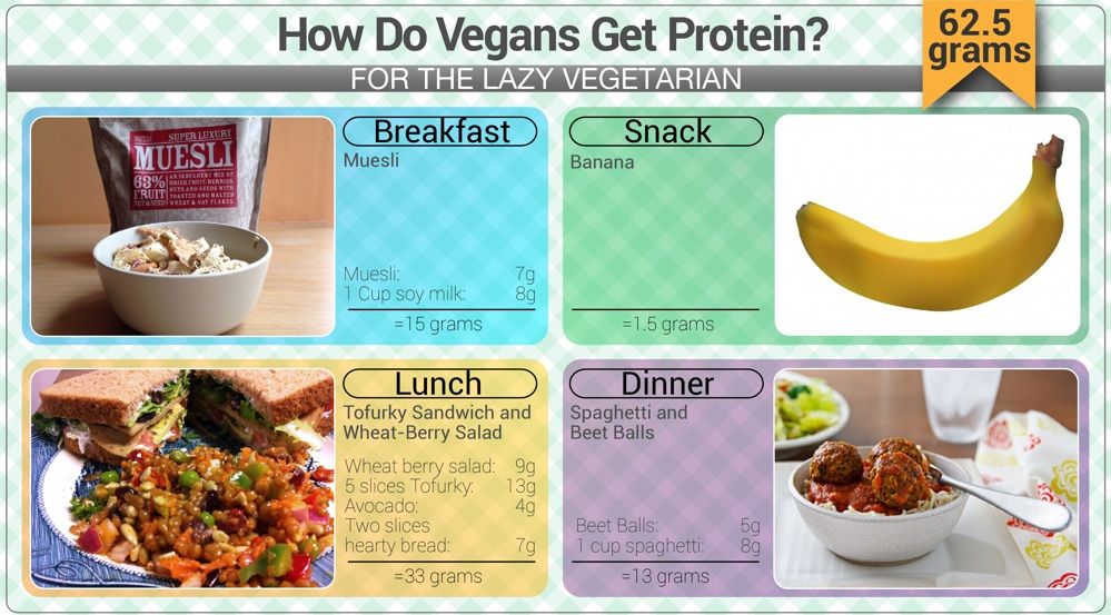 How Do Vegans Get Protein? (a visual guide)