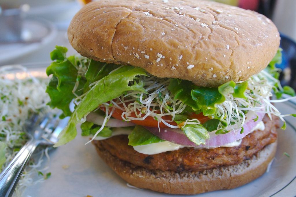 Vegan Vegan
